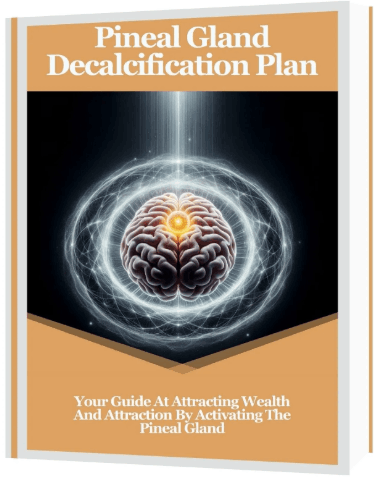 the-wealth-signal-bonus-1